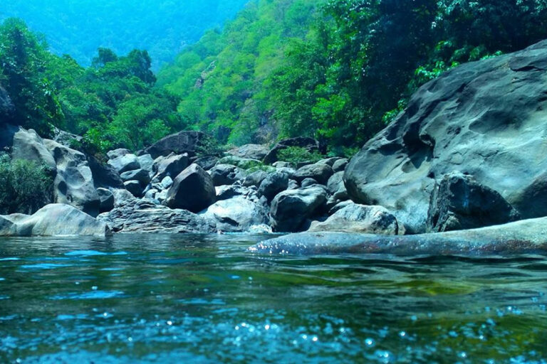 കേരളം, kerala psc, kerala psc questions, pathrakadu project, malabar, kc revamma, psc, kerala psc questions, kerala psc solved questions, kerala psc questions malayalam, kerala psc questions and answers, kerala psc questions pdf, kerala psc questions ldc, ldc exam, ldc 2020, ldc examination psc, ldc questions, ldc question paper 2018, ldc exam qeustions and answers, secretariat assistant, secretariat assistant exam questions,