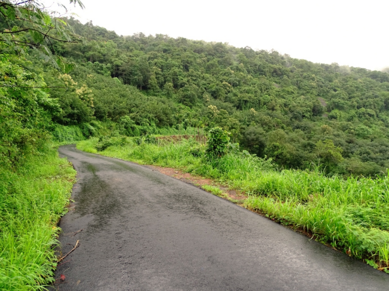 1) തേയില, ഏലം, കുരുമുളക് എന്നിവയുടെ കൃഷിക്ക് ഏറ്റവും അനുയോജ്യമായ ഭൂവിഭാഗമേത് മലനാട് 2) കേരളത്തില്‍ ഏറ്റഴും കൂടുതല്‍ വിളവൈവിദ്ധ്യമുളള ഭൂവിഭാഗമേത് ഇടനാട് 3) മലയോരങ്ങളില്‍ കുറ്റിക്കാടുകള്‍ വെട്ടിത്തെളിച്ച് ചെയ്തിരുന്ന കേരളത്തിലെ പരമ്പരാഗത കൃഷി രീതി പുനം കൃഷി 4) കേരളത്തിലെ ഏറ്റവും വലിയ ആദിവാസി വിഭാഗം പണിയ 5) കേരളത്തിലെ ശിരുവാണി അണക്കെട്ടിലെ ജലം തമിഴ്‌നാട്ടിലെ ഏത് നഗരത്തിലെ ആവശ്യത്തിനാണ് ഉപയോഗിക്കുന്നത് കോയമ്പത്തൂര്‍ 6) കേരളത്തില്‍ ഉരുള്‍പൊട്ടലുകള്‍ ഏറ്റവും വ്യാപകമായി അനുഭവപ്പെടുന്നത് ഏത് ഭൂപ്രകൃതിയിലാണ് മലനാട് 7) കേരളത്തില്‍ എത്ര തരത്തിലുള്ള മണ്ണിനങ്ങളാണ് കണ്ടെത്തിയിട്ടുള്ളത് എഴ് 8) കേരളത്തിന്റെ പടിഞ്ഞാറുഭാഗത്ത് സ്ഥിതി ചെയ്യുന്ന കടല്‍ അറബിക്കടല്‍ 9) മലബാറിലെ ആരവല്ലി എന്ന് വിശേഷിപ്പിക്കപ്പെടുന്ന മലനിര പുരളിമല 10) കരിമണ്ണിലെ പ്രധാനവിള നെല്ല് 11) ഇന്ത്യന്‍ ഉപദ്വീപിന്റെ ഏത് ഭാഗത്താണ് കേരളം തെക്കുപടിഞ്ഞാറ് 12) തീരദേശദൈര്‍ഘ്യത്തില്‍ ഇന്ത്യന്‍ സംസ്ഥാനങ്ങള്‍ക്കിടയില്‍ കേരളത്തിന്റെ സ്ഥാനം അഞ്ച് 13) കേരളത്തിന്റെ വാര്‍ഷി ശരാശരി താപനില എത്രയാണ് 25 മുതല്‍ 27.5 ഡിഗ്രി സെല്‍ഷ്യസ് വരെ 14) ഏറ്റവും കൂടുതല്‍ മണ്ണൊലിപ്പ് ഭീഷണി നേരിടുന്ന കേരളത്തിലെ ജില്ല ഇടുക്കി 15) അമ്ലത്വം കൂടുതലുള്ള മണ്ണിനം തീരദേശ എക്കല്‍ 16) തെങ്ങ് കൃഷിക്ക് ഏറ്റവും അനുയോജ്യമായ മണ്ണ് ഉപ്പുരസമുള്ള എക്കല്‍ മണ്ണ് 17) കേരളത്തില്‍ കൂടുതലായി കാണപ്പെടുന്ന മണ്ണ് ലാറ്ററൈറ്റ് 18) മറ്റു സംസ്ഥാനങ്ങളുമായി അതിര്‍ത്തി പങ്കിടാത്ത കേരളത്തിലെ ജില്ലകള്‍ ആലപ്പുഴ, കോട്ടയം, കോഴിക്കോട് 19) ഭക്ഷ്യധാന്യങ്ങള്‍, പച്ചക്കറികള്‍, കിഴങ്ങുവര്‍ഗങ്ങള്‍ തുടങ്ങിയവയുടെ കൃഷിക്ക് ഏറ്റവും അനുയോജ്യമായ ഭൂവിഭാഗമേത് ഇടനാട് 20) കേരളത്തില്‍ ചെമ്മണ്ണ് കാണപ്പെടുന്ന താലൂക്കുകള്‍ തിരുവനന്തപുരം, നെയ്യാറ്റിന്‍കര 21) അപ്പര്‍ കുട്ടനാട് പ്രദേശത്ത് കാണപ്പെടുന്ന മണ്ണിനം കരിപ്പാട് മണ്ണിനം 22) കേരളത്തില്‍ കരിമണ്ണ് കാണപ്പെടുന്ന ജില്ലകള്‍ ആലപ്പുഴ, കോട്ടയം 23) കേരളത്തില്‍ ഏറ്റവും വ്യാപകമായ പ്രകൃതി ദുരന്തം ഉരുള്‍ പൊട്ടല്‍ 24) കേരളത്തില്‍ ഏറ്റവും കൂടുതല്‍ കാണുന്നത് ഏത് തരം ശിലകളാണ് കായാന്തരിത ശിലകള്‍ 25) കേരളത്തിന്റെ ആകെ വിസ്തൃതിയുടെ എത്ര ശതമാനമാണ് ഇടനാട് 41.76 kerala psc coaching kozhikode, psc office kozhikode, district psc office kozhikode, xylem psc kozhikode, entri app kozhikode, entry psc coaching, kerala psc coaching calicut, silver leaf psc coaching kozhikode, silver leaf psc, silver leaf psc center, the revison.co.in