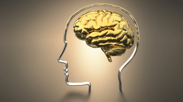 തലച്ചോറിനെക്കുറിച്ചുള്ള 50 ചോദ്യോത്തരങ്ങള്‍, best psc coaching center kozhikode, best psc coaching center calicut, kozhikode psc coaching center, calicut psc coaching center, psc coaching near ksrtc bus stand, psc coaching center near puthiyastand