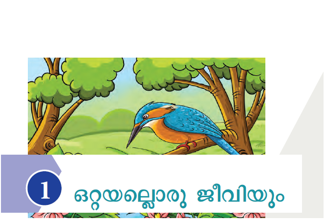 സയന്‍സ് അധ്യായം 1: ഒറ്റയല്ലൊരു ജീവിയും ആഹാരശൃംഖലാജാലം: ആഹാരത്തിനായി ജീവികള്‍ പരസ്പരം ആശ്രയിക്കുന്നു. ജീവികളുടെ ഈ പരസ്പരബന്ധമാണ് ആഹാരശൃംഖലാജാലം. സമുദ്രം എന്ന ആവാസ വ്യവസ്ഥയിലെ ഉത്പാദകരായ ചെറു സസ്യങ്ങള്‍ ഏതാണ് പ്ലവകങ്ങള്‍ ഭക്ഷ്യ ശൃംഖലയിലെ ഏറ്റവും ഉയര്‍ന്ന കണ്ണിയില്‍പ്പെടുന്ന ജീവി കടുവ കേരളത്തിലെ ചില ജലാശയങ്ങളില്‍ കാണപ്പെടുന്ന അധിനിവേശ മത്സ്യം ഏതാണ് ആഫ്രിക്കന്‍ മുഷി ആഫ്രിക്കന്‍ മുഷി ഏത് ഭൂഖണ്ഡത്തില്‍ കാണപ്പെടുന്ന മത്സ്യമാണ് ആഫ്രിക്കന്‍ ഭൂഖണ്ഡം കേരളത്തിലെ ജലാശയങ്ങളിലെ നാടന്‍ മത്സ്യങ്ങളെ ആഹാരമാക്കുന്ന അധിനിവേശ മത്സ്യം ഏതാണ് ആഫ്രിക്കന്‍ മുഷി ആഹാരശൃംഖലാജാലത്തിലെ ഒറ്റ ശ്രേണിയിലുള്ള ഒരു ആഹാര ബന്ധം അറിയപ്പെടുന്ന പേര് ആഹാരശൃംഖല സസ്യങ്ങള്‍ ആഹാരം നിര്‍മ്മിക്കാന്‍ ഉപയോഗിക്കുന്ന ഘടകങ്ങള്‍ ഏതെല്ലാം കാര്‍ബണ്‍ ഡൈഓക്‌സൈഡ്, ജലം കാര്‍ബണ്‍ ഡൈഓക്‌സൈഡ്, ജലം, സൂര്യപ്രകാശത്തില്‍നിന്നുള്ള ഊര്‍ജ്ജം എന്നിവ ഉപയോഗപ്പെടുത്തി സസ്യങ്ങള്‍ ആഹാരം നിര്‍മ്മിക്കുന്ന പ്രക്രിയ അറിയപ്പെടുന്ന പേര് പ്രകാശസംശ്‌ളേഷണം പ്രകാശ സംശ്‌ളേഷണത്തിന്റെ ഫലമായി ഉണ്ടാകുന്ന വാതകം ഏതാണ് ഓക്‌സിജന്‍ സസ്യങ്ങളെ ആഹാര നിര്‍മ്മാണത്തിന് സഹായിക്കുന്ന വര്‍ണകം ഏതാണ് ഹരിതകം (ക്ലോറോഫില്‍) സസ്യങ്ങളില്‍ ചുവപ്പ് നിറം നല്‍കുന്ന വര്‍ണ്ണകം ഏതാണ് ആന്തോസയാനിന്‍ സസ്യങ്ങളില്‍ ഓറഞ്ച് നിറം നല്‍കുന്ന വര്‍ണ്ണകം ഏതാണ് കരോട്ടിന്‍ സസ്യങ്ങളില്‍ മഞ്ഞ നിറം നല്‍കുന്ന വര്‍ണ്ണകം ഏതാണ് സാന്തോഫില്‍ പ്രകാശസംശ്‌ളേഷണത്തിന് ഉപയോഗിക്കുന്ന വാതകം കാര്‍ബണ്‍ ഡൈക്‌സൈഡ് അന്തരീക്ഷത്തിലെ വാതകങ്ങള്‍ ഏതെല്ലാം നൈട്രജന്‍, ഓക്‌സിജന്‍, ആര്‍ഗണ്‍, കാര്‍ബണ്‍ ഡൈഓക്‌സൈഡ് അന്തരീക്ഷത്തില്‍ ഏറ്റവും കൂടുതല്‍ കാണപ്പെടുന്ന വാതകം ഏതാണ് നൈട്രജന്‍ അന്തരീക്ഷത്തില്‍ ഏറ്റവും കൂടുതല്‍ കാണപ്പെടുന്ന രണ്ടാമത്തെ വാതകം ഏതാണ് ഓക്‌സിജന്‍ അന്തരീക്ഷത്തില്‍ ഏറ്റവും കൂടുതല്‍ കാണപ്പെടുന്ന മൂന്നാമത്തെ വാതകം ഏതാണ് ആര്‍ഗണ്‍ ജീവികള്‍ ശ്വസിക്കുന്നത് എന്തിനാണ് ഊര്‍ജം ലഭിക്കാന്‍ സസ്യങ്ങളും ജീവികളും ശ്വസനത്തിനായി ഉപയോഗിക്കുന്ന വാതകം ഏതാണ് ഓക്‌സിജന്‍ ശ്വസനഫലമായി ഉണ്ടാകുന്ന വാതകം ഏതാണ് കാര്‍ബണ്‍ ഡൈഓക്‌സൈഡ് ശ്വസനഫലമായി സസ്യങ്ങളില്‍ ഉണ്ടാകുന്ന വാതകം ഏതാണ് കാര്‍ബണ്‍ ഡൈഓക്‌സൈഡ് ശ്വസനഫലമായി സസ്യങ്ങളില്‍ ഉണ്ടാകുന്ന കാര്‍ബണ്‍ ഡൈഓക്‌സൈഡും അന്തരീക്ഷത്തില്‍നിന്നുള്ള കാര്‍ബണ്‍ ഡൈഓക്‌സൈഡും സസ്യങ്ങള്‍ പ്രകാശ സംശ്‌ളേഷണത്തിന് ഉപയോഗിക്കുന്നു. ഈ പ്രസ്താവന ശരിയോ തെറ്റോ? ശരി ഇലകളിലെ ഏത് ഭാഗം വഴിയാണ് വായു സസ്യങ്ങളിലേക്ക് പ്രവേശിക്കുന്നത് സ്റ്റൊമാറ്റ കണ്ണുകള്‍കൊണ്ട് നേരിട്ട് കാണാന്‍ കഴിയാത്ത വസ്തുക്കളെ വലുതായി കാണാന്‍ ഉപയോഗിക്കുന്ന ഉപകരണം ഏതാണ് മൈക്രോസ്‌കോപ്പ് പ്രകാശ സംശ്‌ളേഷണ ഫലമായി ഉണ്ടാകുന്ന ഓക്‌സിജനെ സസ്യങ്ങള്‍ പുറന്തള്ളുന്നത് ഏത് ഴഴിയാണ് സ്റ്റൊമാറ്റ വാസസ്ഥലത്തിനായി മാത്രം ആതിഥേയ സസ്യങ്ങളെ ആശ്രയിക്കുന്ന സസ്യങ്ങള്‍ അറിയപ്പെടുന്ന പേരെന്താണ് എപ്പിഫൈറ്റുകള്‍ എപ്പിഫൈറ്റുകള്‍ക്ക് ഉദാഹരണം ഏതാണ് ഓര്‍ക്കിഡുകള്‍ എപ്പിഫൈറ്റുകള്‍ വളരുന്നതുകൊണ്ട് ആതിഥേയ സസ്യത്തിന് ദോഷമുണ്ടാകുമോ? ഇല്ല ആതിഥേയ സസ്യത്തില്‍നിന്നും ജലവും ലവണവും വലിച്ചെടുത്ത് സ്വയം ആഹാരം നിര്‍മ്മിക്കുന്ന സസ്യങ്ങള്‍ അറിയപ്പെടുന്ന പേര് അര്‍ധപരാദങ്ങള്‍ അര്‍ധപരാദത്തിന് ഉദാഹരണം ഇത്തിള്‍ക്കണ്ണി ആതിഥേയസസ്യത്തില്‍നിന്നും പോഷകഘടകങ്ങളെ വലിച്ചെടുക്കുന്ന സസ്യങ്ങള്‍ അറിയപ്പെടുന്ന പേര് പൂര്‍ണ പരാദങ്ങള്‍ പൂര്‍ണ പരാദങ്ങള്‍ക്ക് ഉദാഹരണം ഏതാണ് മൂടില്ലാതാളി xylem psc kozhikode, xylem psc calicut, xylem psc fees, xylem psc notes, xylem psc kozhikode contact number, xylem psc calicut location, xylem psc calicut contact, xylem psc ranks